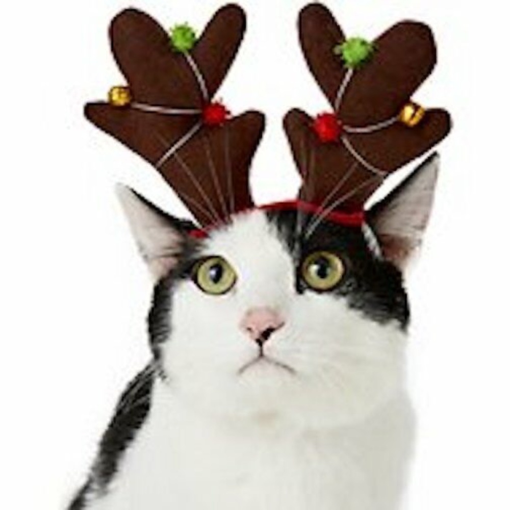 Simply Pet Holiday Reindeer Bell Antlers Christmas Ferret Cat Rabbit T Cup Dog